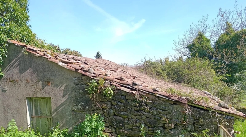 Pontevedra - Silleda - 23000m2