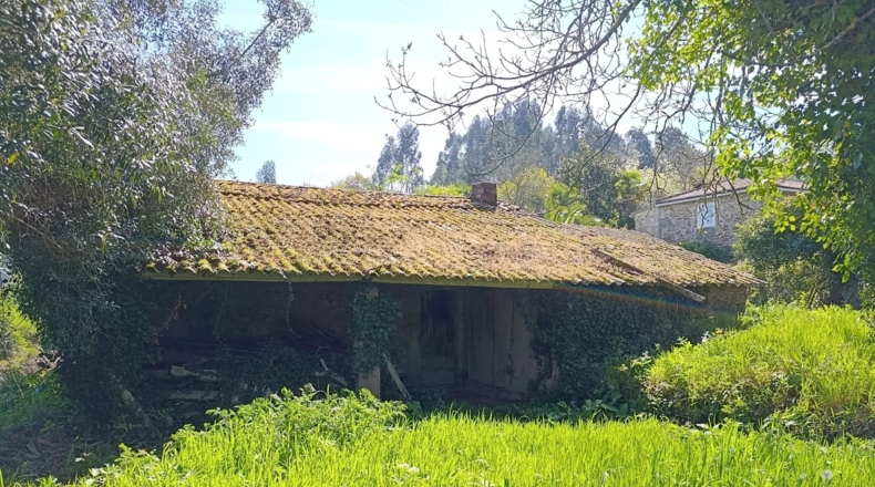 Pontevedra - Silleda - 23000m2