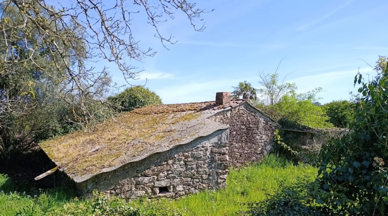 Pontevedra - Silleda - 23000m2