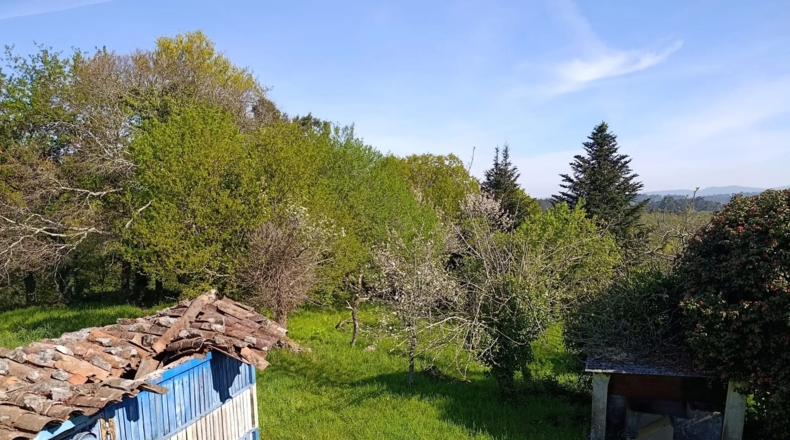 Pontevedra - Silleda - 23000m2