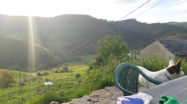 Asturias - Oviedo - 555m2