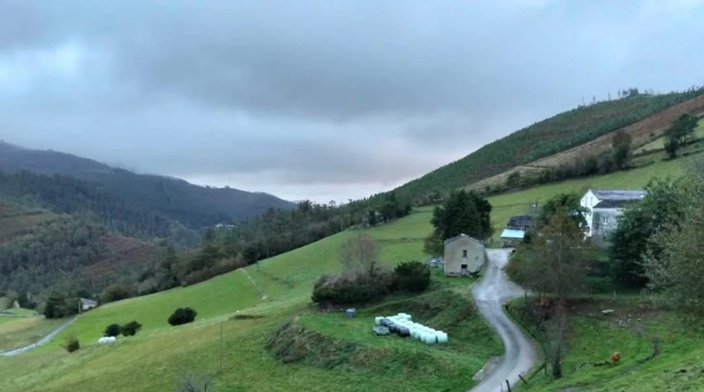Asturias - Oviedo - 555m2