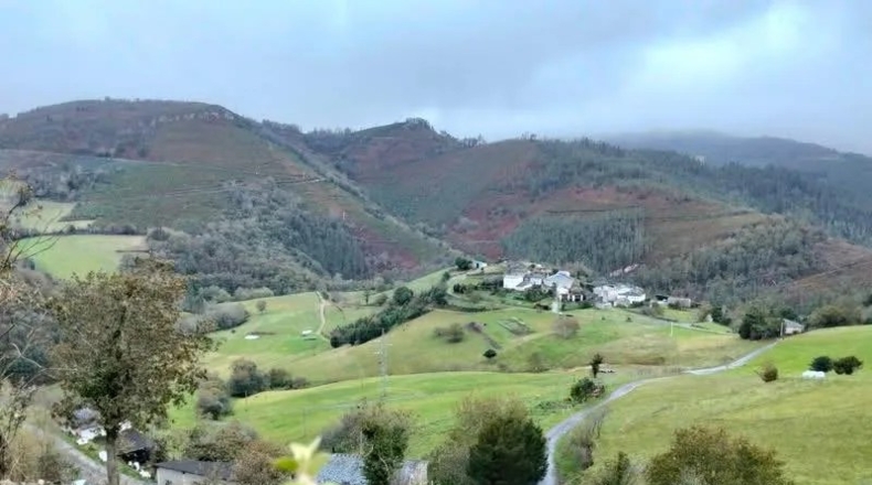 Asturias - Oviedo - 555m2