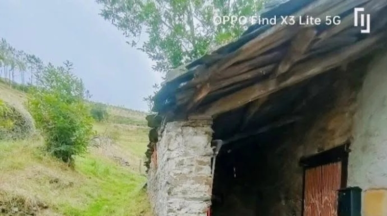 Asturias - Oviedo - 555m2