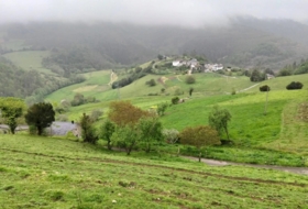 Oviedo 555&nbsp;m² 