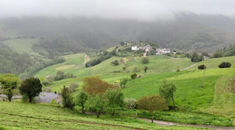 Asturias - Oviedo - 555m2