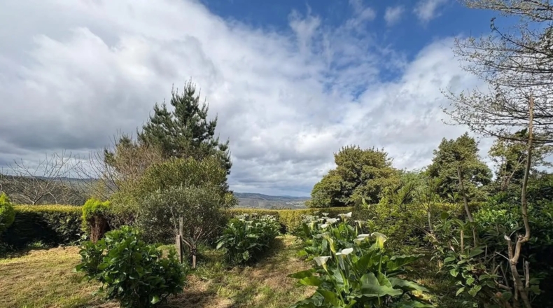 Lugo - Ourol - 50000m2