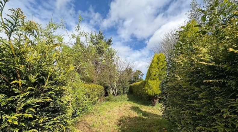 Lugo - Ourol - 50000m2