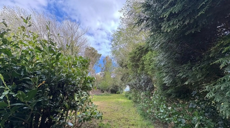 Lugo - Ourol - 50000m2