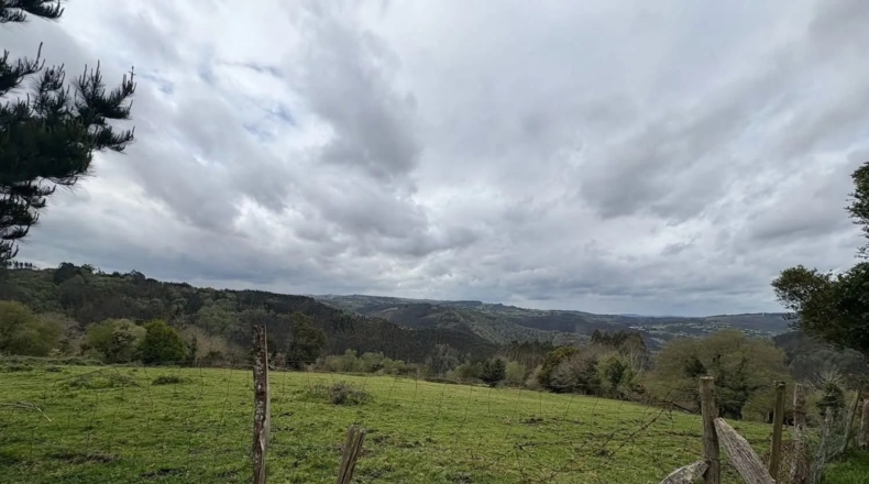 Lugo - Ourol - 50000m2