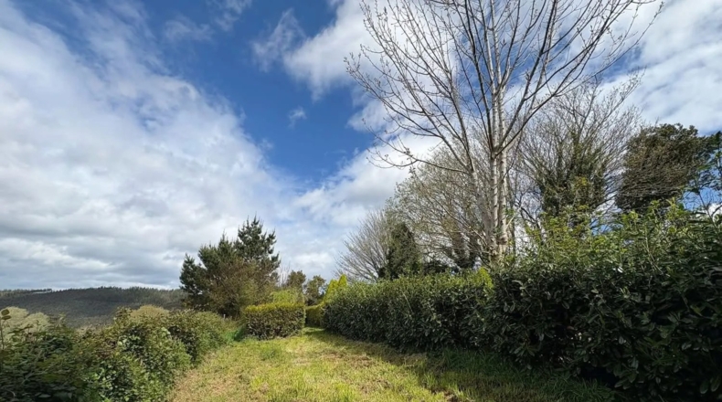 Lugo - Ourol - 50000m2