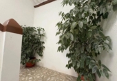Casa de pueblo en venta en Ourol ref: TR407812 foto