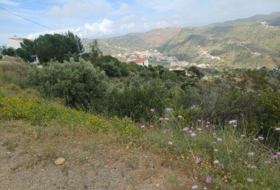 Moclinejo 2328&nbsp;m²