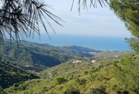 Moclinejo 4609&nbsp;m²