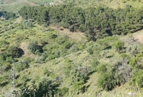 Moclinejo 4609&nbsp;m²
