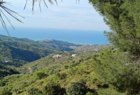 Moclinejo 4609&nbsp;m²