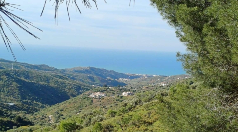 Малага - Moclinejo - 4609m2
