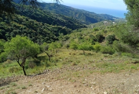 Moclinejo 4609&nbsp;m²