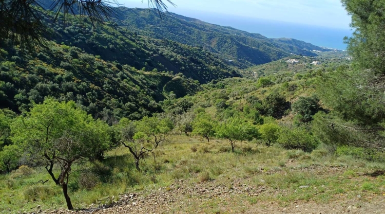 Малага - Moclinejo - 4609m2