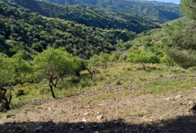 Moclinejo 4609&nbsp;m²