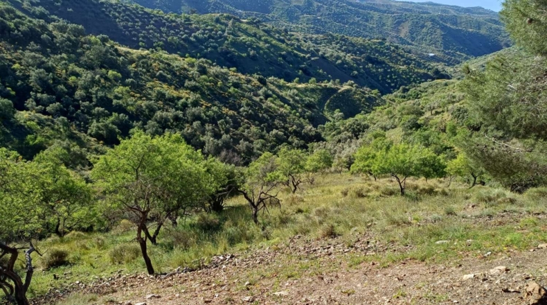 Малага - Moclinejo - 4609m2