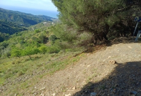 Moclinejo 4609&nbsp;m²