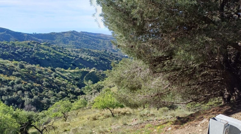 Малага - Moclinejo - 4609m2
