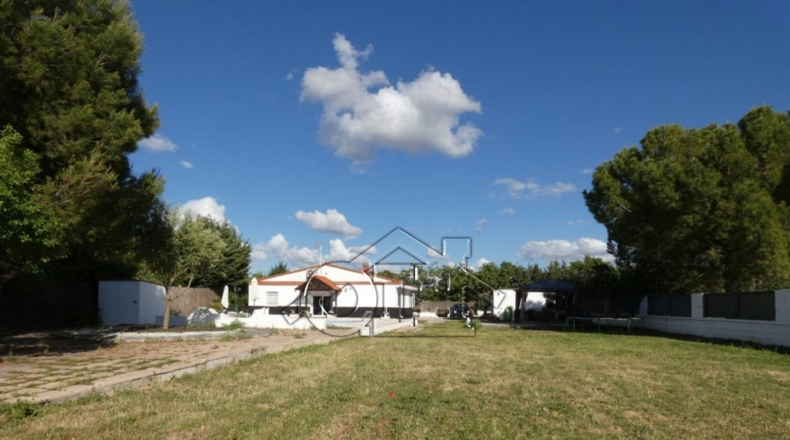 Guadalajara - Illana - 1524m2