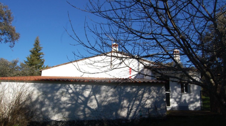 Badajoz - Fuentes de León - 120m2