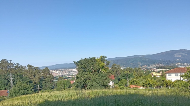 Pontevedra - Pontevedra - 3177m2
