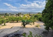 Chalet independiente con terreno en venta en Ontinyent ref: TR407824 foto