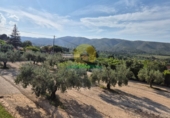 Chalet independiente con terreno en venta en Ontinyent ref: TR407824 foto