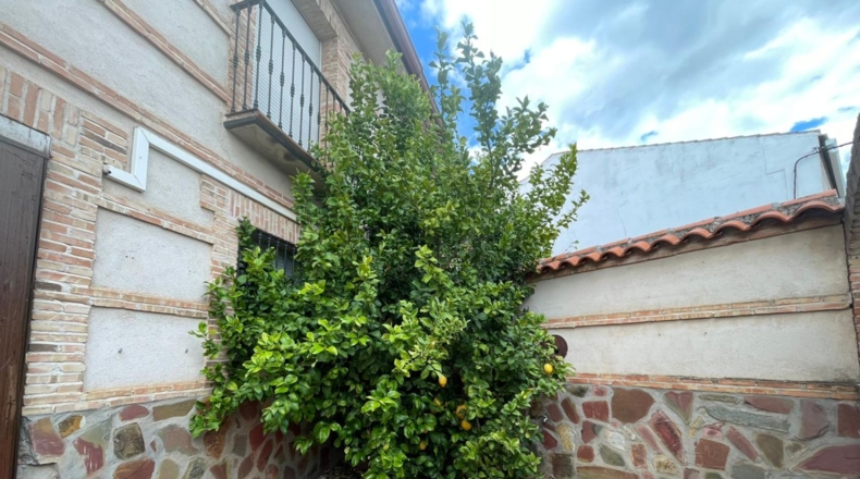 Ciudad Real - Alcolea de Calatrava - 141m2