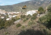 Sòl urbà en venda a Los Villares ref.: TR407839 foto