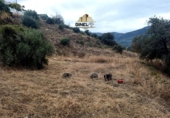 Sòl urbà en venda a Los Villares ref.: TR407839 foto