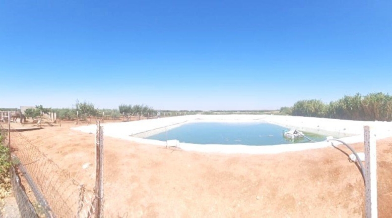 Sevilla - El Cuervo de Sevilla - 18259m2
