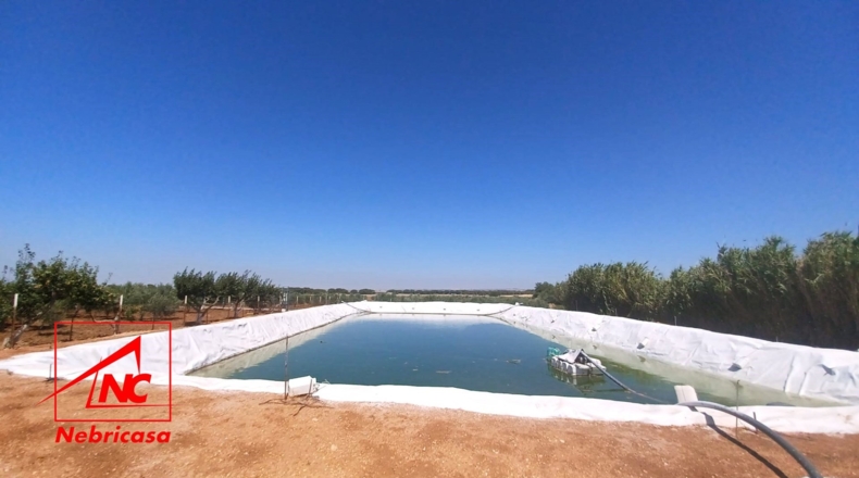 Sevilla - El Cuervo de Sevilla - 18259m2