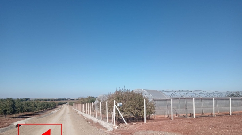Sevilla - El Cuervo de Sevilla - 18259m2