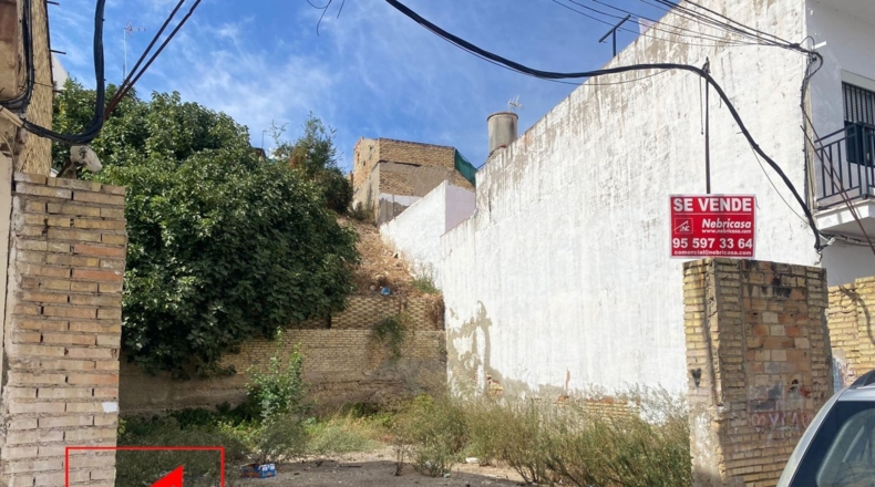 Sevilla - Las Cabezas de San Juan - 375m2