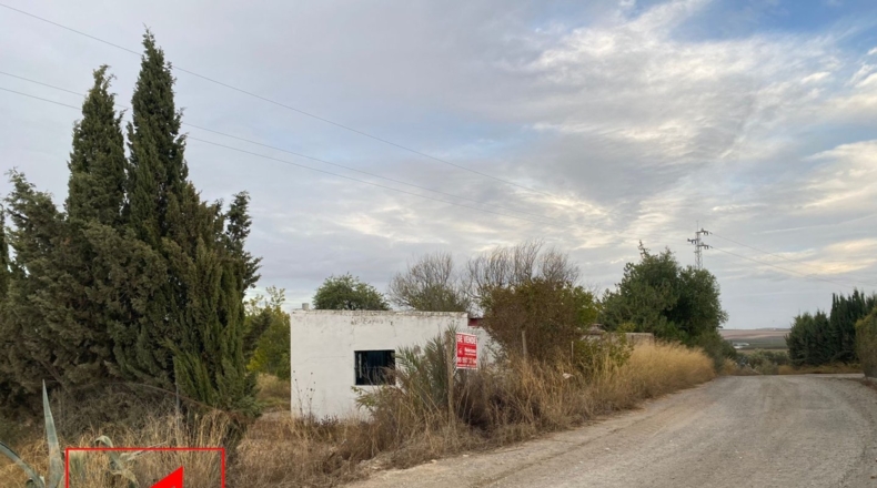 Sevilla - Las Cabezas de San Juan - 35000m2