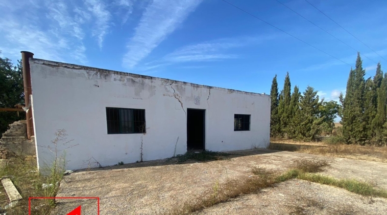 Sevilla - Las Cabezas de San Juan - 35000m2