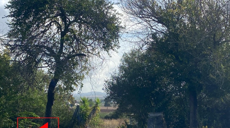 Sevilla - Las Cabezas de San Juan - 35000m2