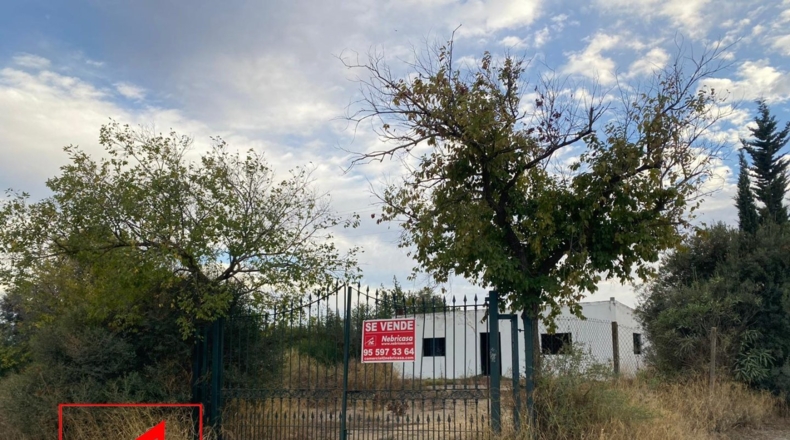 Sevilla - Las Cabezas de San Juan - 35000m2