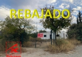 Terreny no urbanitzable en venda a Las Cabezas de San Juan ref.: TR187831 foto