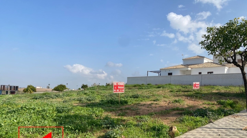 Sevilla - Las Cabezas de San Juan - 500m2