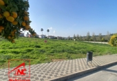 Sòl urbà en venda a Las Cabezas de San Juan ref.: TR204740 foto
