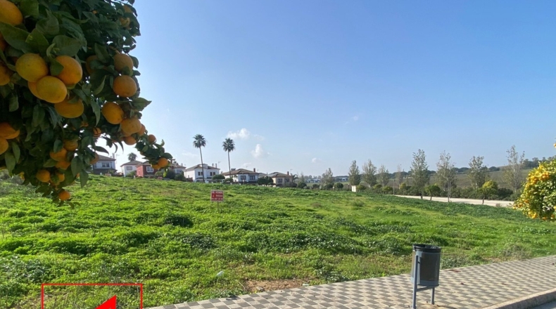 Sevilla - Las Cabezas de San Juan - 500m2