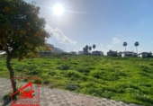 Sòl urbà en venda a Las Cabezas de San Juan ref.: TR204740 foto