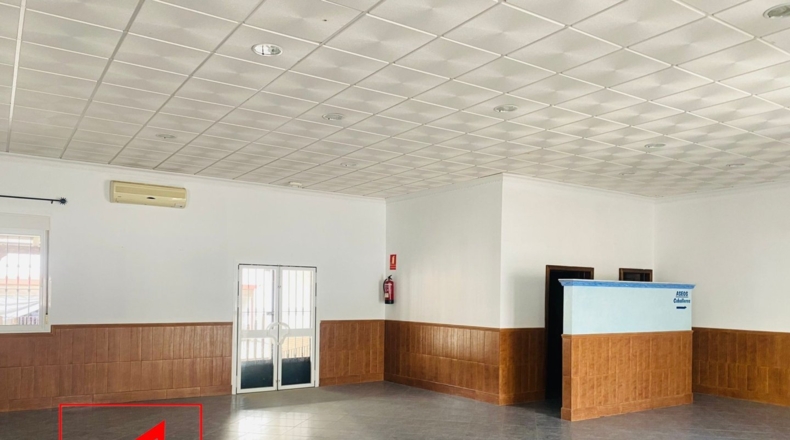 Sevilla - Las Cabezas de San Juan - 360m2