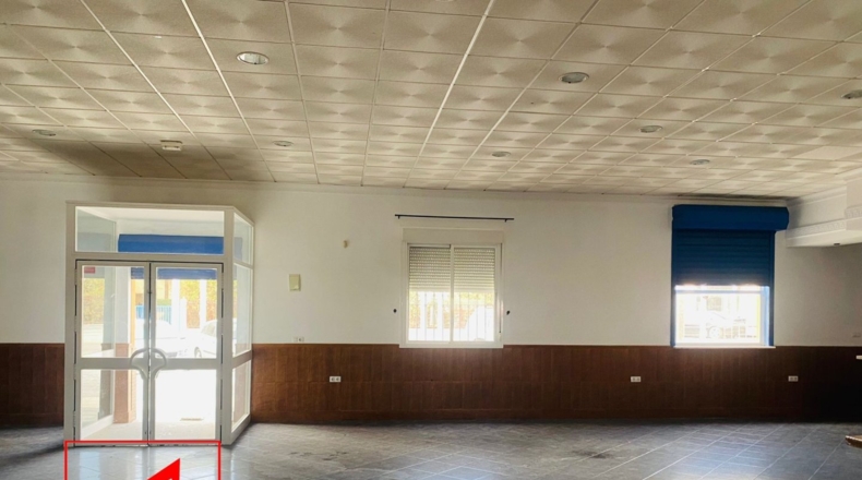 Sevilla - Las Cabezas de San Juan - 360m2